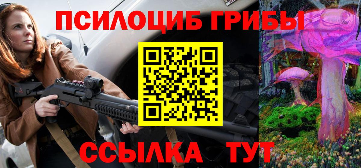 Галлюциногенные грибы Psilocybine cubensis Саров