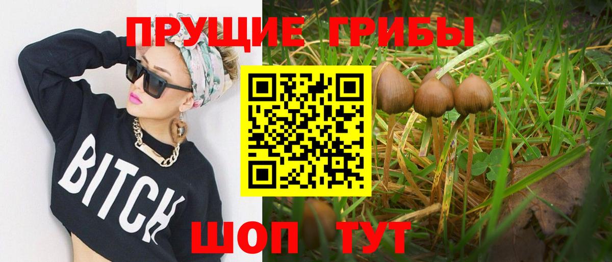 Саров  Псилоцибиновые грибы прущие грибы  Вход с VPN  Галлюциногенные грибы мицелий 